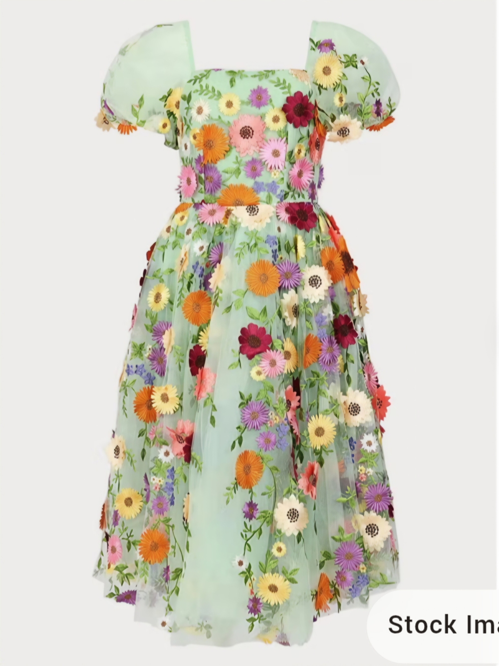 NWT JessaKae Garden Waltz Dress